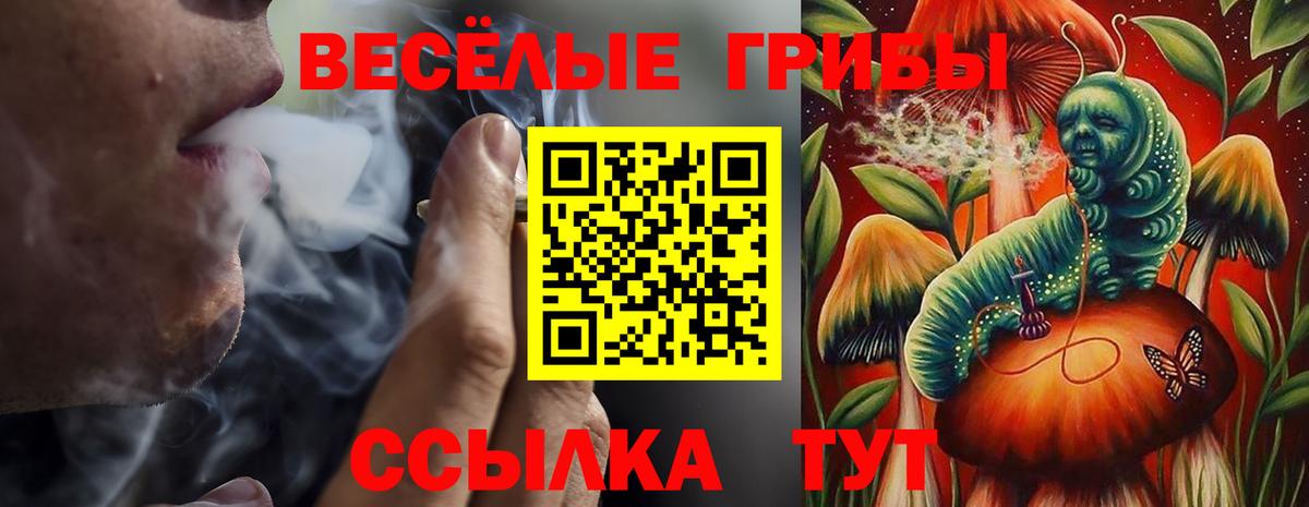 Галлюциногенные грибы Psilocybine cubensis Хабаровск
