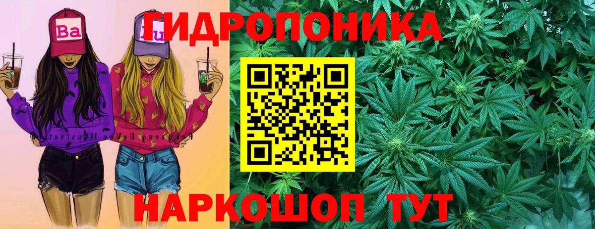 Бошки марихуана план  Бошки марихуана сатива  Вход с VPN  Хабаровск 
